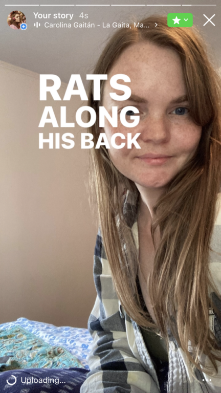 lyrics synced on Instagram story 