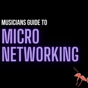 Why “As Many People as Possible” Is NOT a Strategy (and What to Do Instead) Micro Networks for musicians