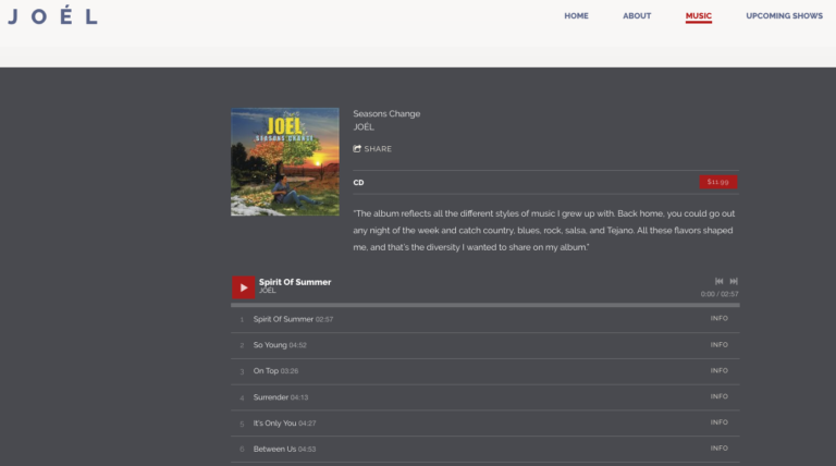 Musician's Website - Music Player Design Example
