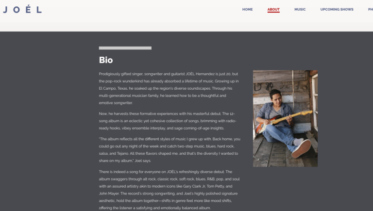 Musician's Website - artist bio example